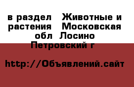  в раздел : Животные и растения . Московская обл.,Лосино-Петровский г.